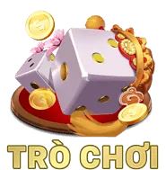 Tổ chức hỗ trợ bên ngoài